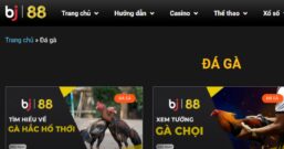 BJ88 – Nhà Cái Casino Top 1 Việt Nam