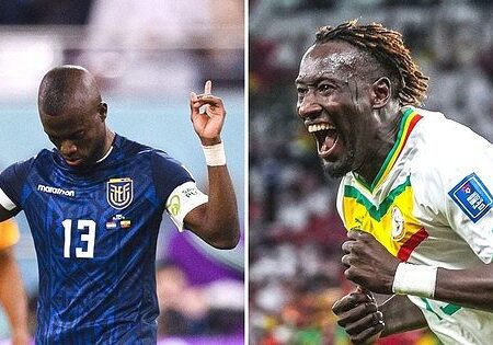 Lịch Sử Đối Đầu Ecuador Vs Senegal: Phân Tích Trận Chung Kết Bảng A World Cup 2022