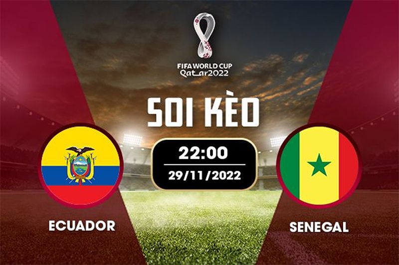 Lịch sử đối đầu giữa Ecuador và Senegal